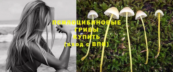 твердый Баксан