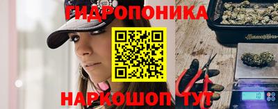 стафф Мариинск