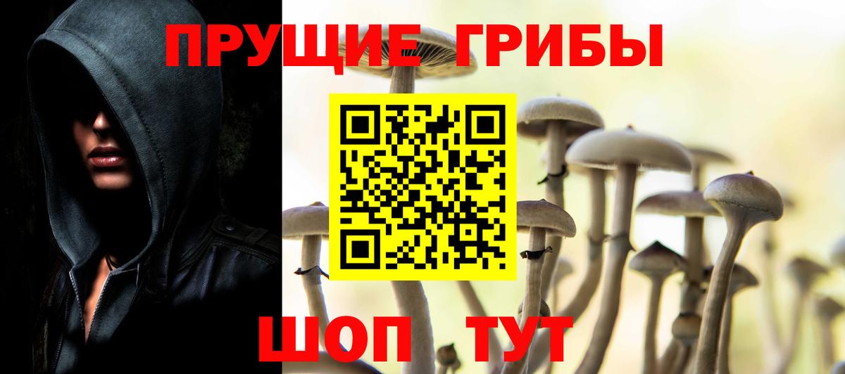 Галлюциногенные грибы GOLDEN TEACHER  Псилоцибиновые грибы Magic Shrooms  Вход с VPN  Балтийск 
